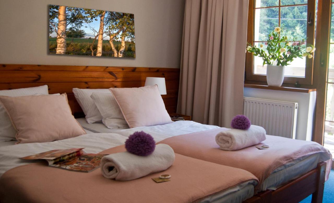 Hotel Gorski Czarna Gora Stronie Śląskie Extérieur photo