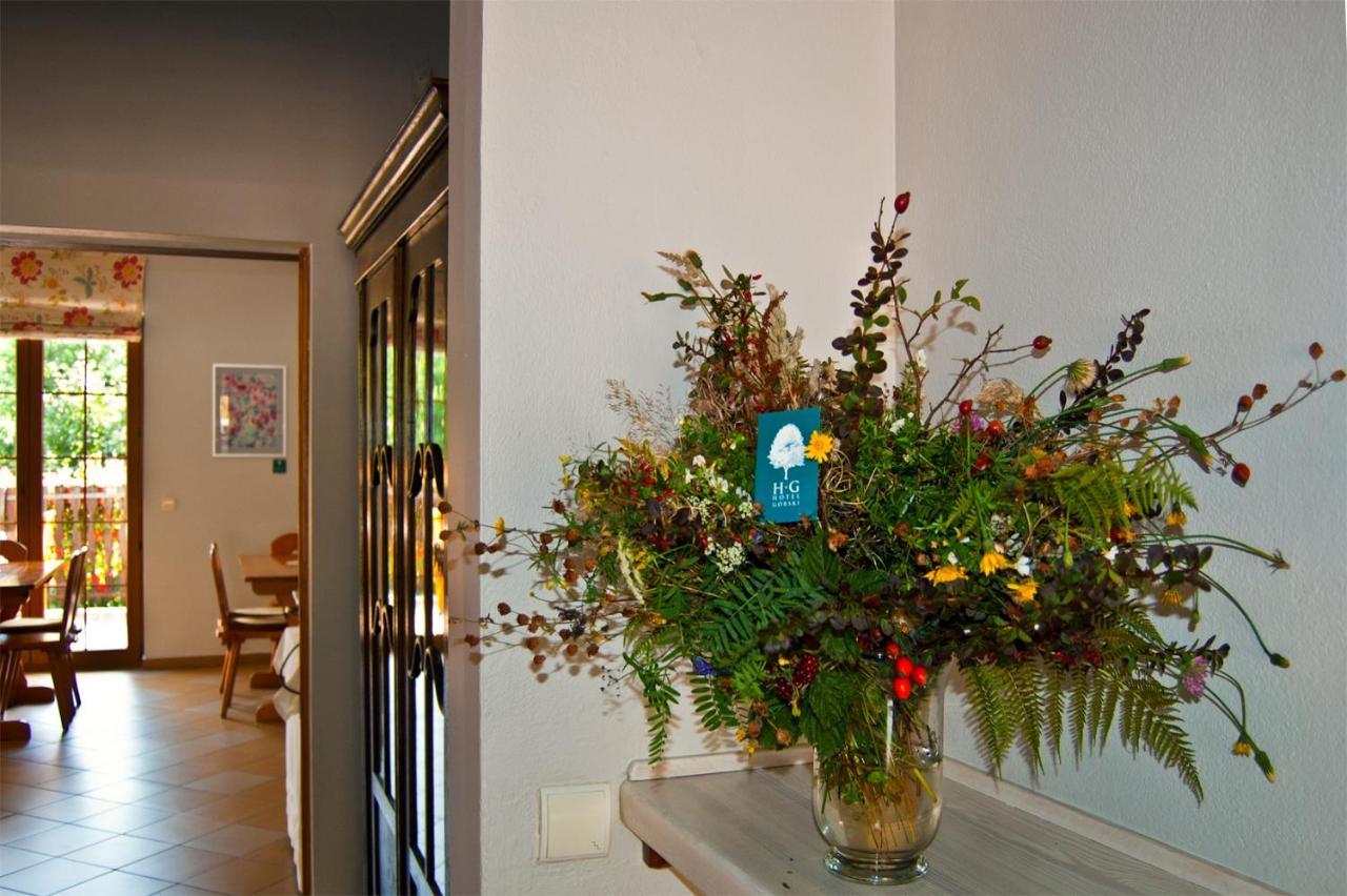 Hotel Gorski Czarna Gora Stronie Śląskie Extérieur photo